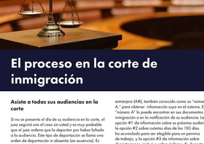 El Proceso en law Corte de Inmigracion
