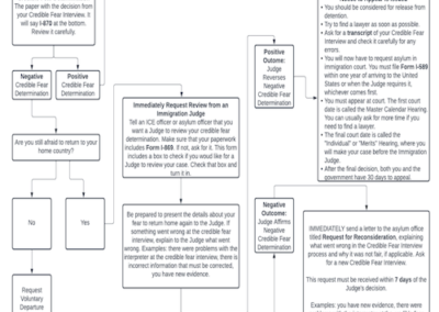 ABA: Post-Credible Fear Interview Chart