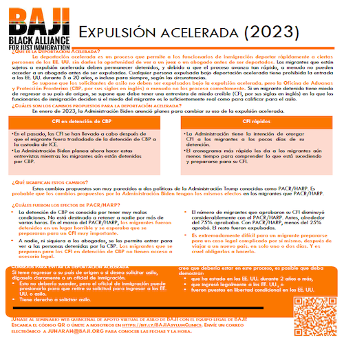 BAJI: Expulsión Acelerada (2023)