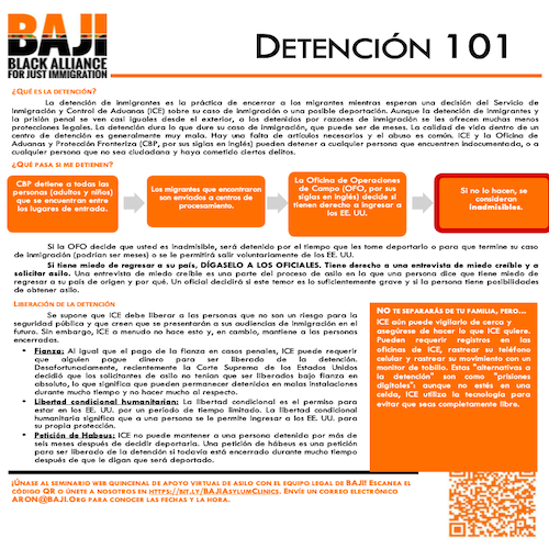 BAJI: Detención 101