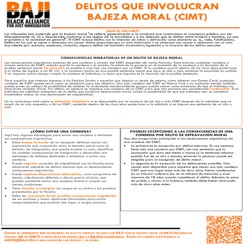 BAJI: Delitos que Involucran Bajeza Moral